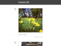 Kodiakmx.tumblr.com