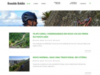 Oswaldobaldin.com.br