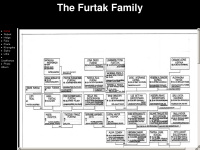 Furtak.info