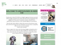 greyhoundsinneed.co.uk Thumbnail