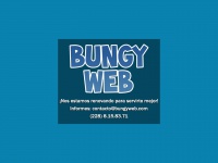 bungyweb.com Thumbnail