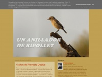 Anilladorderipollet.blogspot.com