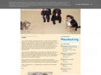 gossos-arreplegats.blogspot.com