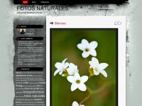 Fotosnaturales.wordpress.com