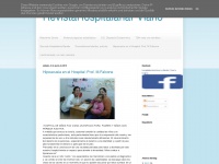 revistahospitalariafviano.blogspot.com