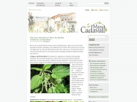 Mascadavall.wordpress.com