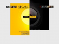 negami-df.com