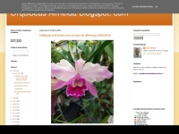 Orquideas-almeida.blogspot.com