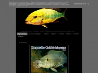 Tanganyika-cichlidsmagazine.blogspot.com