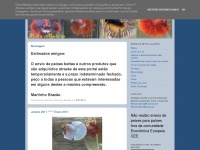 Bettamadeira.blogspot.com