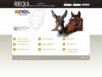 riequi.org