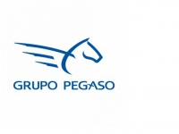 Grupo-pegaso.com