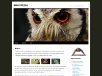 buhopedia.com Thumbnail