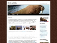 morsapedia.com