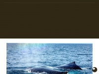 Whalewatchingpanama.com