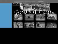 Bousyfesta.blogspot.com