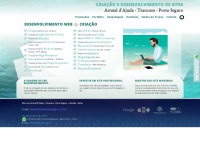 Arraialwebdesign.com.br