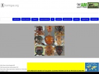 hormigas.org Thumbnail
