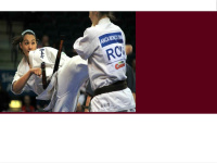 Shinkyokushin.com.br