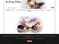 Shirazcattery.com