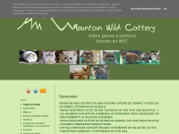 mountainwildcattery.es Thumbnail