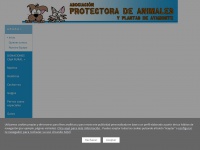protectoradeayamonte.org