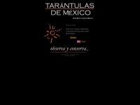 Tarantulasdemexico.com