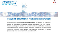 Fiegert-endotech.com