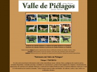 Valledepielagos.com