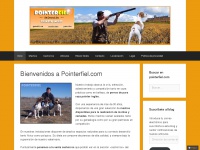 pointerfiel.com