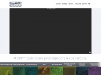 critt.net Thumbnail