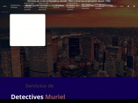 detectivesmuriel.com Thumbnail