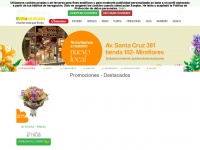 Floreriasunidas.com