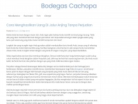 Bodegascachopa.com
