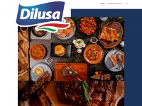 Dilusa.mx