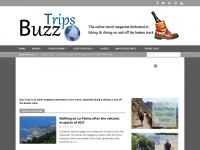 buzztrips.co.uk Thumbnail