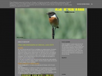 Birdingzamora.blogspot.com