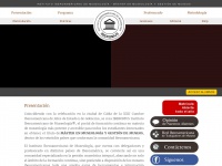 institutomuseologia.com Thumbnail