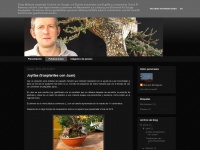 bruixot-bonsai.blogspot.com