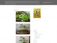 Ro-bonsai.blogspot.com