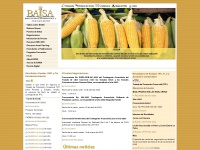 baisa.com