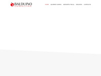 balduinoconsulting.com Thumbnail