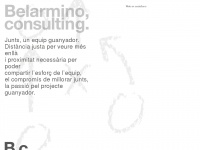 belarmino-consulting.com