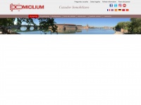 Domicilium-agencia-inmobiliara-tolosa.com