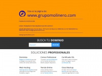 grupomolinero.com