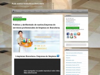 Pulirsuelosbarcelona.com
