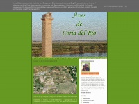 Avesdecoriadelrio.blogspot.com