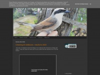 Birdsbg.blogspot.com