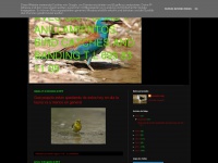 avescapturasyanillamientos.blogspot.com
