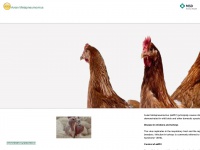avian-pneumovirus.com